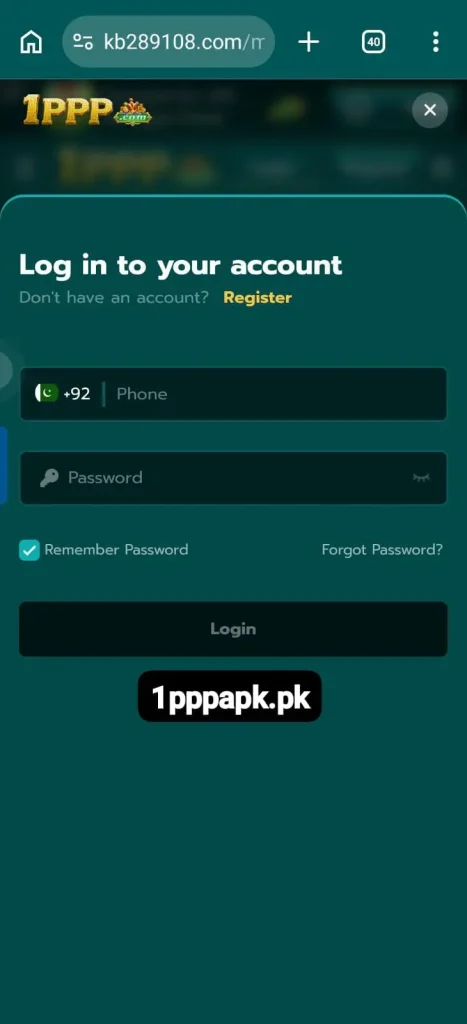1PPP